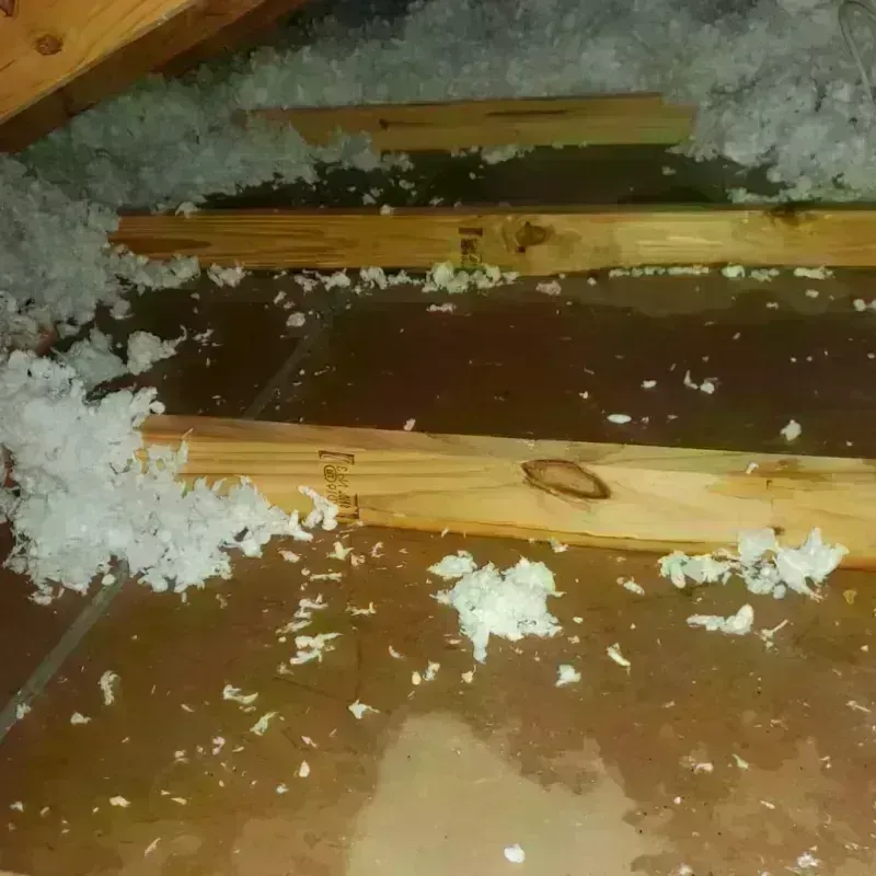 Attic Water Damage in Hamilton, MT