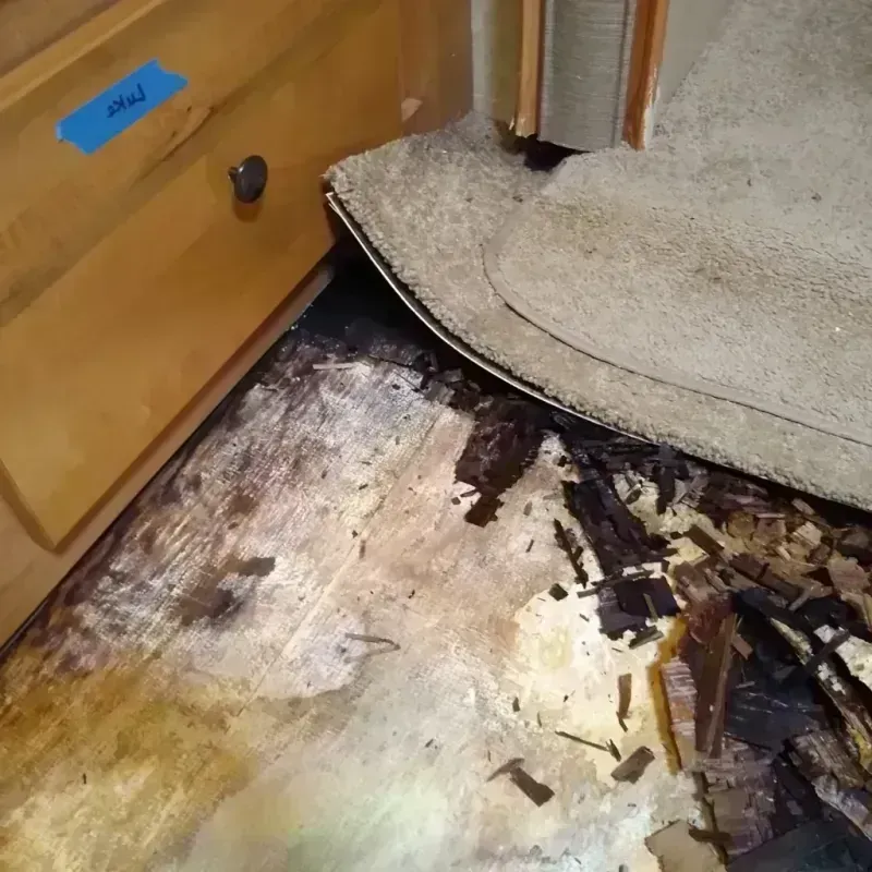 Wood Floor Water Damage in Hamilton, MT